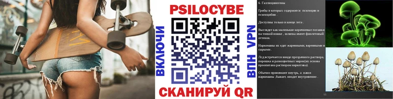 Псилоцибиновые грибы Cubensis  купить  цена  Сасово 